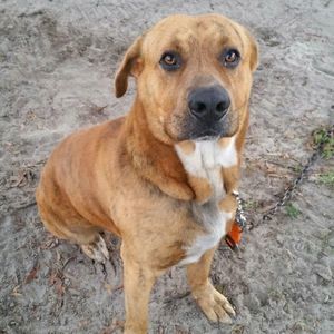 Meet your Posher, Kevin